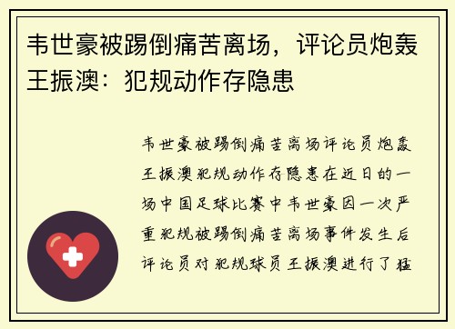 韦世豪被踢倒痛苦离场，评论员炮轰王振澳：犯规动作存隐患