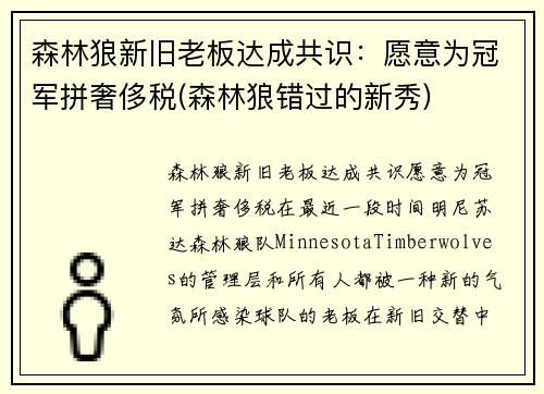 森林狼新旧老板达成共识：愿意为冠军拼奢侈税(森林狼错过的新秀)